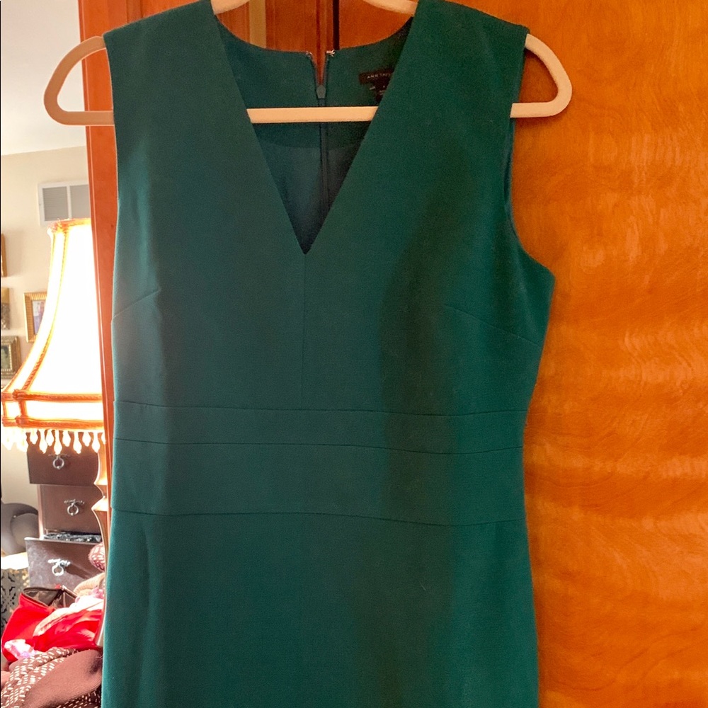 New & Beautiful Ann Taylor fitted sheath